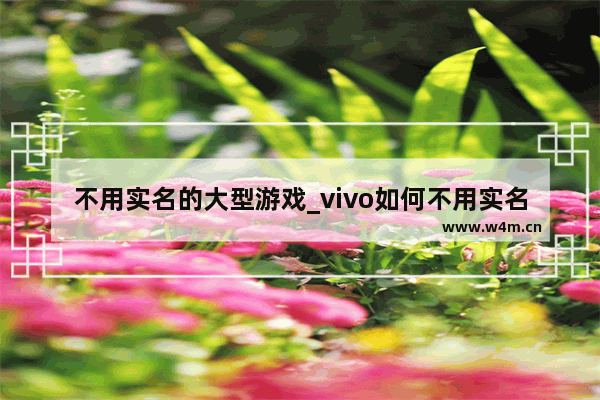 不用实名的大型游戏_vivo如何不用实名玩游戏