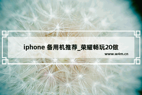 iphone 备用机推荐_荣耀畅玩20做备用机怎么样