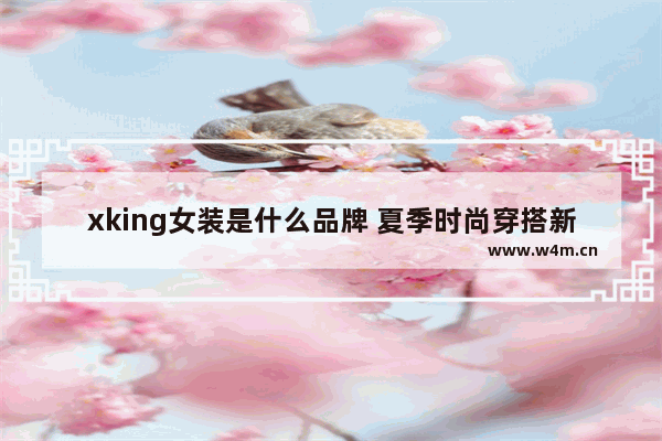 xking女装是什么品牌 夏季时尚穿搭新款女装品牌