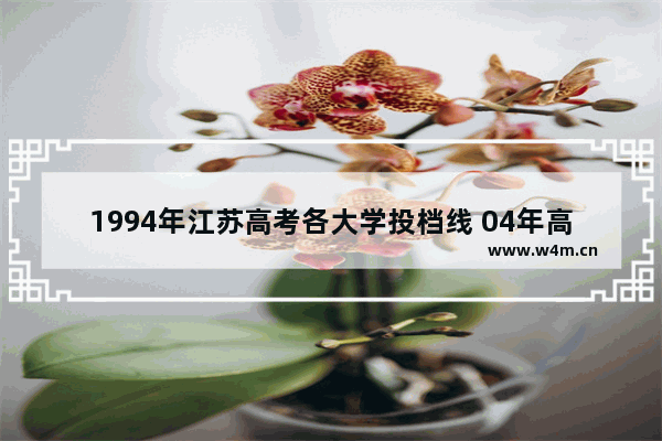 1994年江苏高考各大学投档线 04年高考分数线 江苏