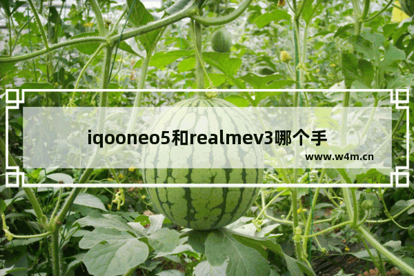 iqooneo5和realmev3哪个手机大 最新小尺寸手机推荐一下