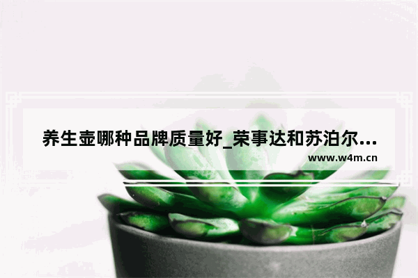 养生壶哪种品牌质量好_荣事达和苏泊尔哪个牌子好