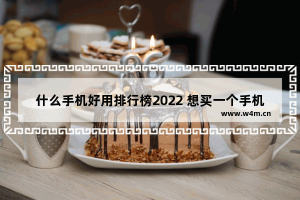 什么手机好用排行榜2022 想买一个手机推荐哪款好用点