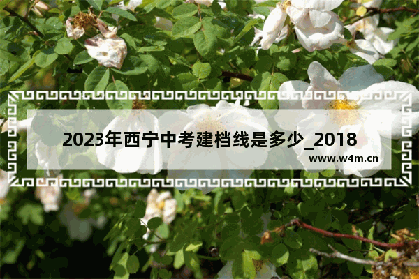 2023年西宁中考建档线是多少_2018湟中县高考分数线