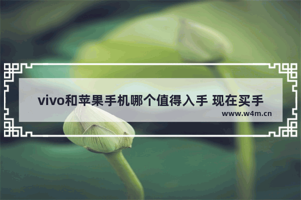 vivo和苹果手机哪个值得入手 现在买手机推荐买苹果哪款好