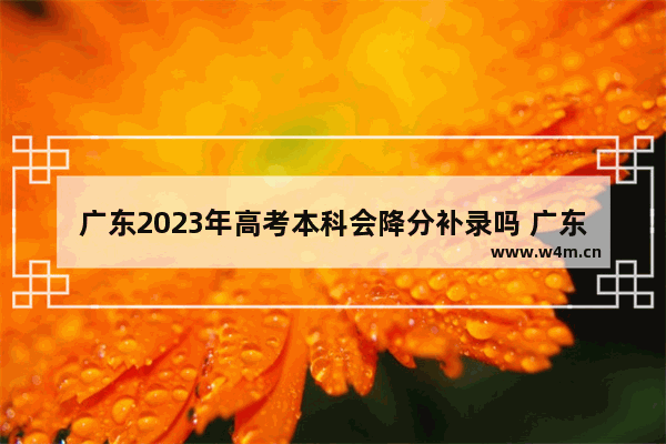 广东2023年高考本科会降分补录吗 广东今年高考分数线很低