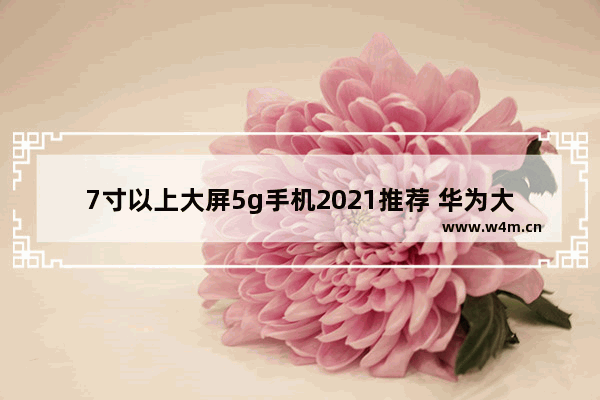 7寸以上大屏5g手机2021推荐 华为大屏幕手机推荐8寸手机