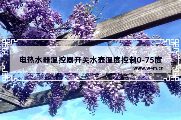 电热水器温控器开关水壶温度控制0-75度 漏水怎么回事 养生壶烧到75度就停止