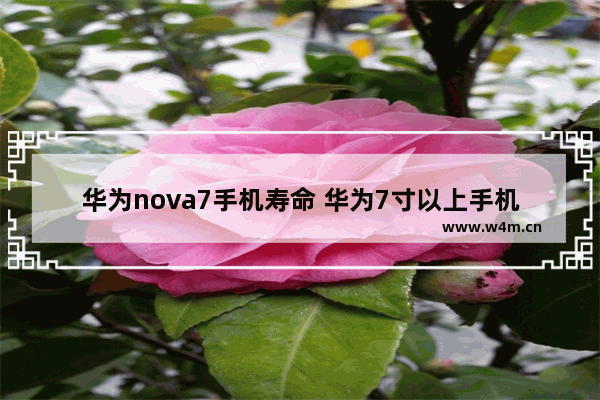 华为nova7手机寿命 华为7寸以上手机推荐