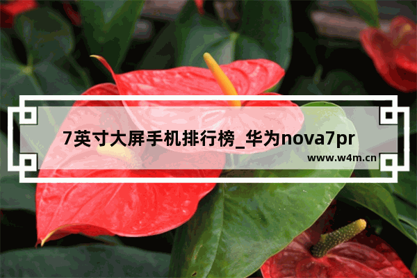 7英寸大屏手机排行榜_华为nova7pro 是不是九十赫兹