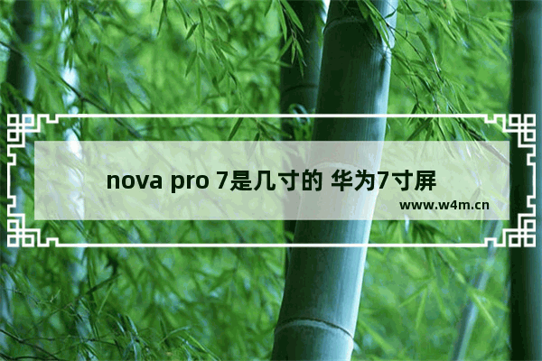 nova pro 7是几寸的 华为7寸屏手机推荐款