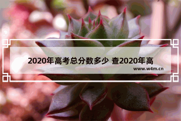 2020年高考总分数多少 查2020年高考分数线