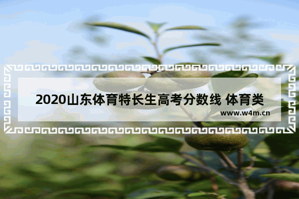 2020山东体育特长生高考分数线 体育类高考分数线山东