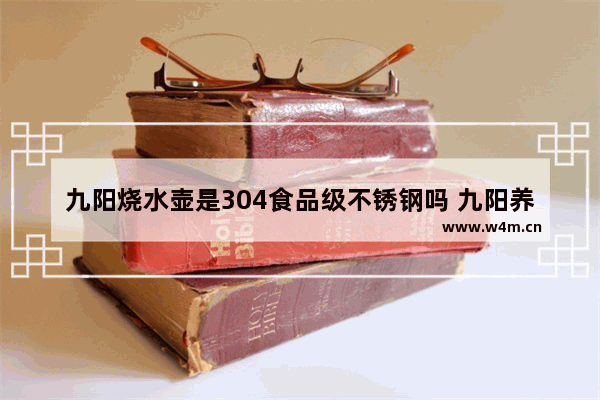 九阳烧水壶是304食品级不锈钢吗 九阳养生壶食品级