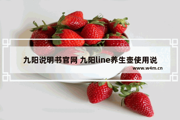 九阳说明书官网 九阳line养生壶使用说明