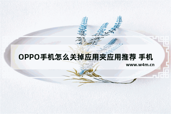 OPPO手机怎么关掉应用夹应用推荐 手机推荐服务怎么关掉呢苹果