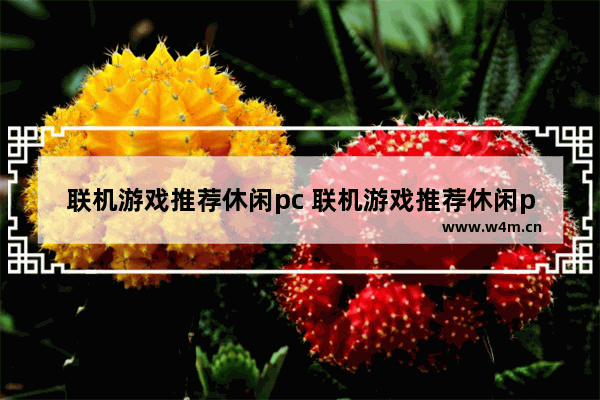 联机游戏推荐休闲pc 联机游戏推荐休闲pc