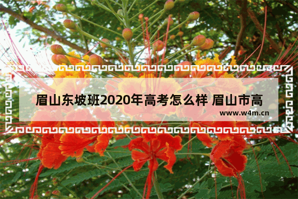 眉山东坡班2020年高考怎么样 眉山市高考分数线2020