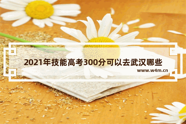 2021年技能高考300分可以去武汉哪些学校 武城职技能高考分数线财经