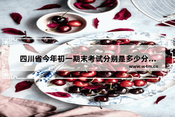 四川省今年初一期末考试分别是多少分的题 广元2022年高考分数线