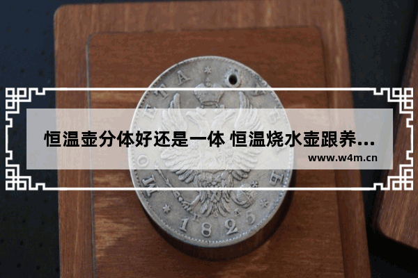 恒温壶分体好还是一体 恒温烧水壶跟养生壶两个一起