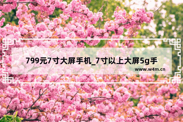 799元7寸大屏手机_7寸以上大屏5g手机推荐2022