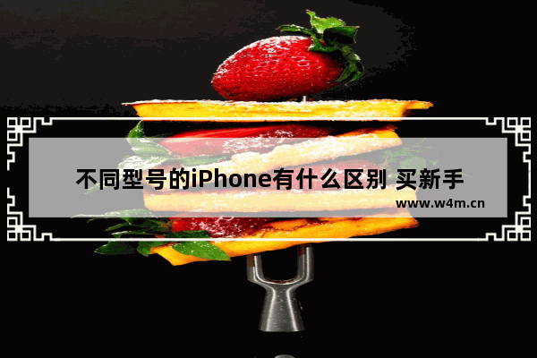 不同型号的iPhone有什么区别 买新手机推荐苹果系列有哪些功能