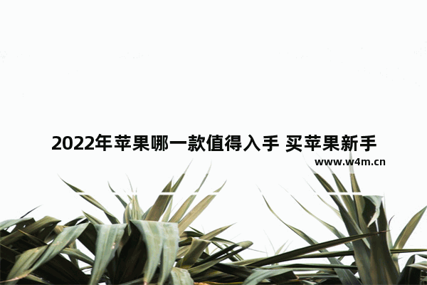 2022年苹果哪一款值得入手 买苹果新手机推荐哪款比较好