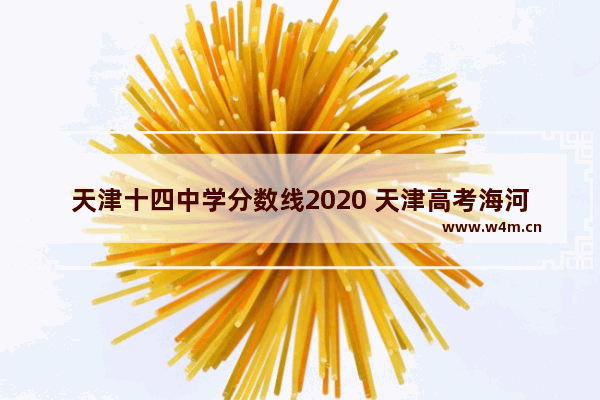 天津十四中学分数线2020 天津高考海河中考分数线