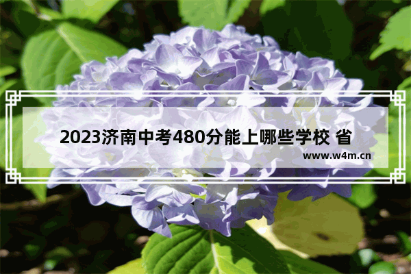 2023济南中考480分能上哪些学校 省实验中学济南高考分数线