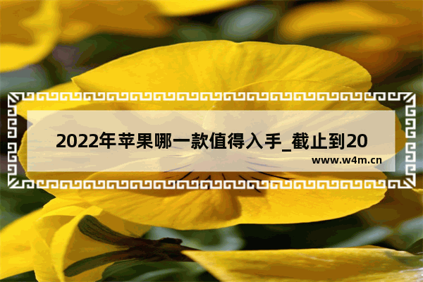 2022年苹果哪一款值得入手_截止到20218月 性价比最高的苹果手机有哪些型号。