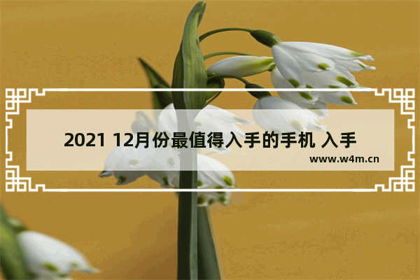 2021 12月份最值得入手的手机 入手新手机推荐哪一款好