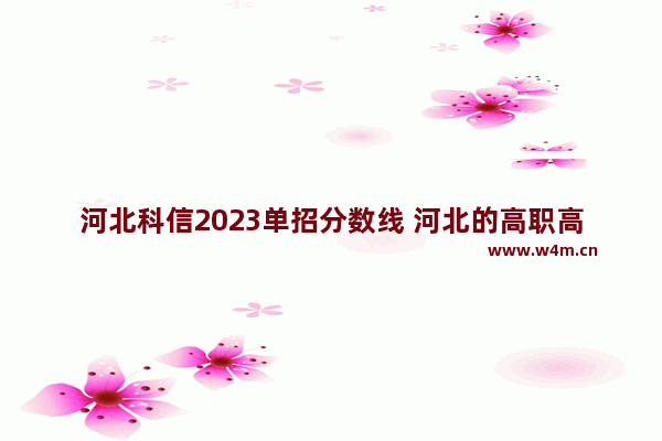 河北科信2023单招分数线 河北的高职高考分数线