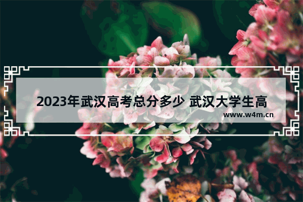 2023年武汉高考总分多少 武汉大学生高考分数线