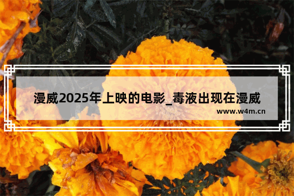 漫威2025年上映的电影_毒液出现在漫威哪几部电影