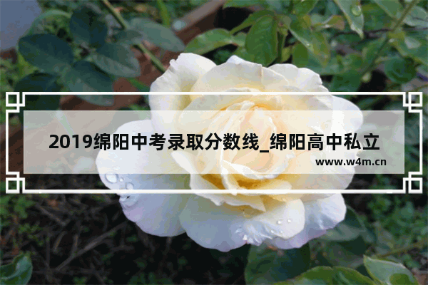 2019绵阳中考录取分数线_绵阳高中私立学校排名榜