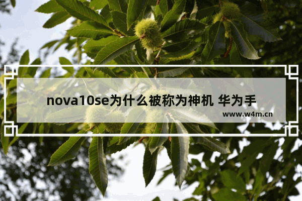 nova10se为什么被称为神机 华为手机推荐性价比高便宜像素高