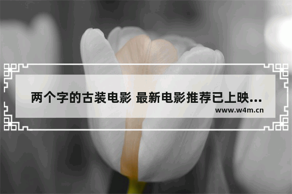 两个字的古装电影 最新电影推荐已上映古装电影有哪些名字