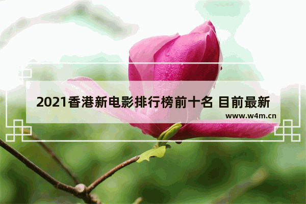 2021香港新电影排行榜前十名 目前最新电影排行前十名有哪些名字