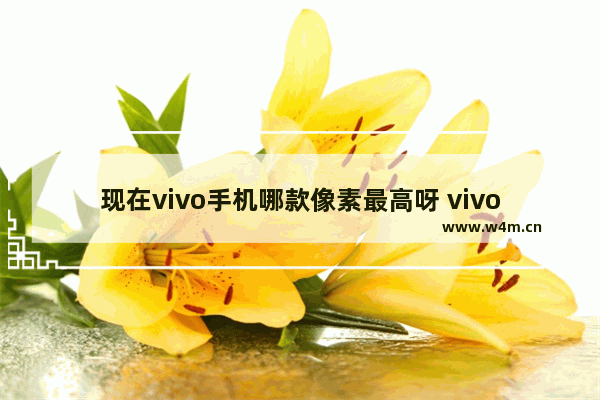 现在vivo手机哪款像素最高呀 vivo超高像素手机推荐