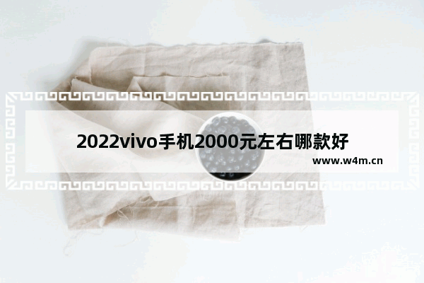 2022vivo手机2000元左右哪款好_两千元手机推荐哪款好用