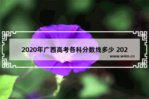 2020年广西高考各科分数线多少 2020年高考分数线百