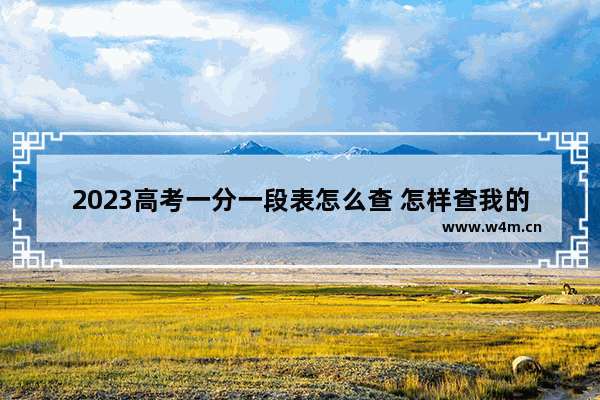 2023高考一分一段表怎么查 怎样查我的高考分数线