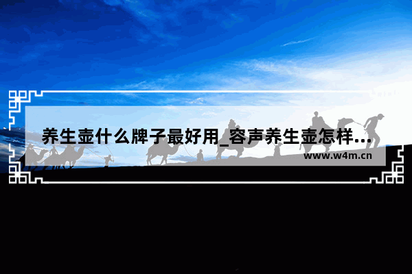 养生壶什么牌子最好用_容声养生壶怎样使用说明书