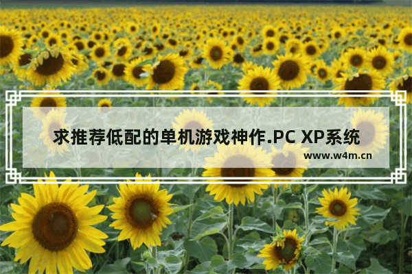 求推荐低配的单机游戏神作.PC XP系统_steam低配单机免费游戏