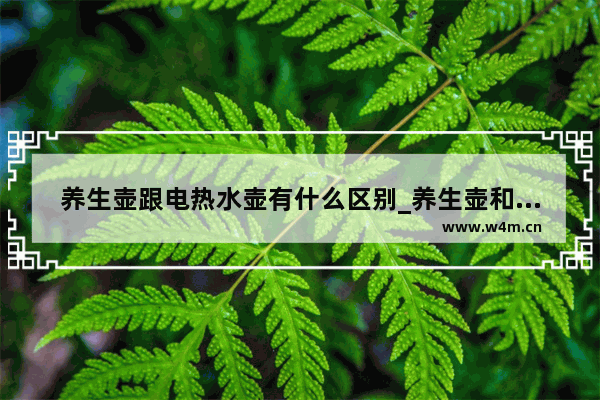 养生壶跟电热水壶有什么区别_养生壶和烧水壶的区别