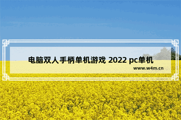 电脑双人手柄单机游戏 2022 pc单机游戏推荐排行榜