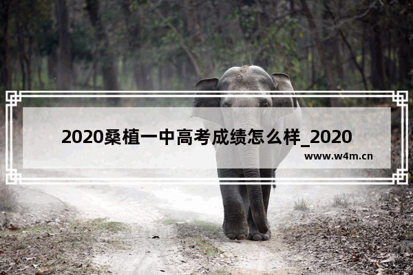 2020桑植一中高考成绩怎么样_2020年张家界中考分数录取线