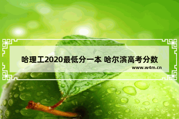 哈理工2020最低分一本 哈尔滨高考分数线一本