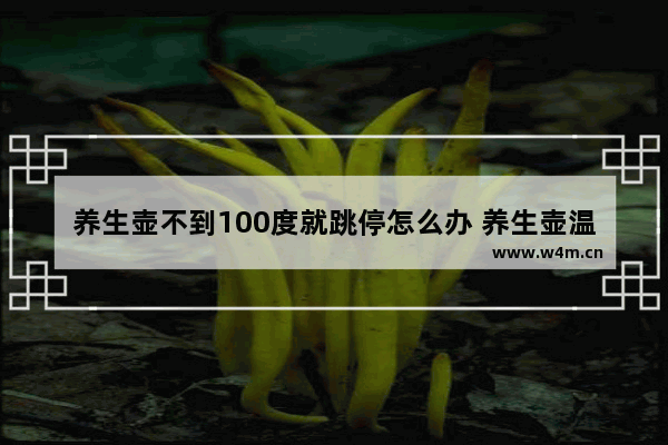 养生壶不到100度就跳停怎么办 养生壶温控器电阻多少